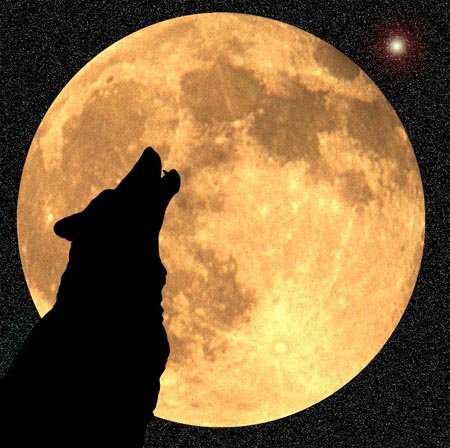 wolf-moon.jpg.1e7c88d717b131372200dc482b6ff713.jpg